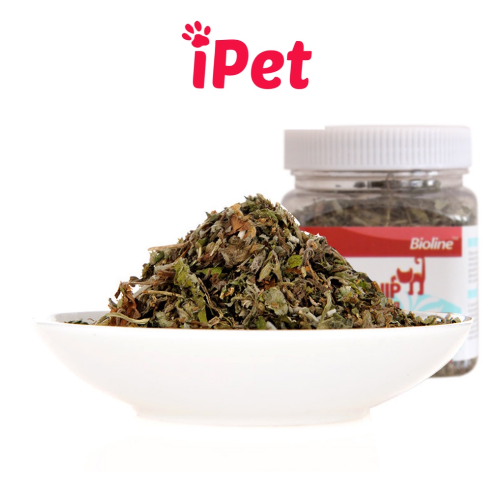 Cỏ Bạc Hà Catnip Cho Mèo Dạng Hộp 250ml - iPet Shop