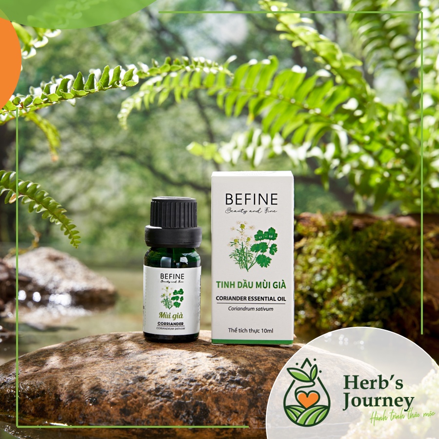Tinh Dầu Mùi Già cao cấp 5ml 10ml - BEFINE - Tinh dầu nguyên chất chưng cất tự nhiên - Hương thơm ngày Tết, thơm phòng