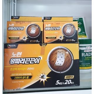 Keo bẫy ruồi - hộp 5 miếng - nhập khẩu hàn quốc