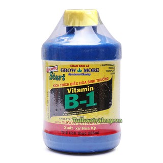 Phân bón kích rễ Vitamin B1 nhập Hoa Kỳ - T31