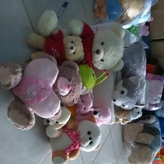 Gấu của kiêu ngọc