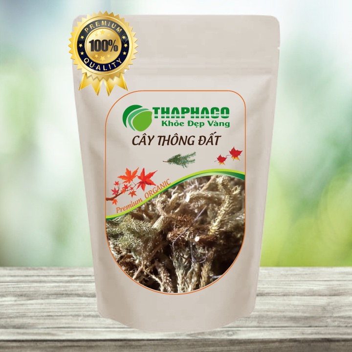 Cây Thông Đất Khô Nguyên Chất - Túi Zip 100gram - Hàng Loại 1 - THAPHACO