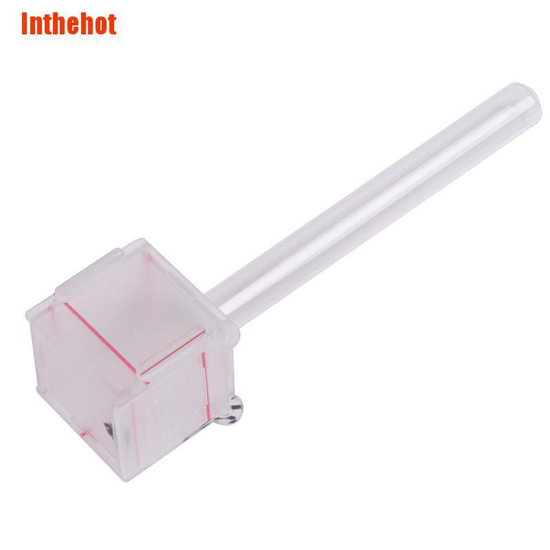 Kiến Mini Trong Suốt