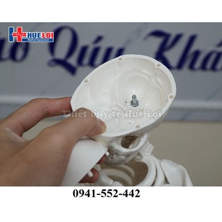 Mô hình bộ xương người