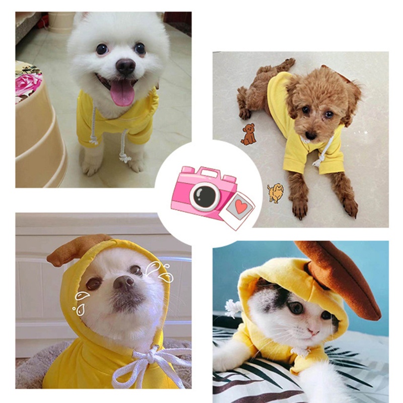 Áo Hoodie Họa Tiết Trái Cây Dễ Thương Cho Thú Cưng