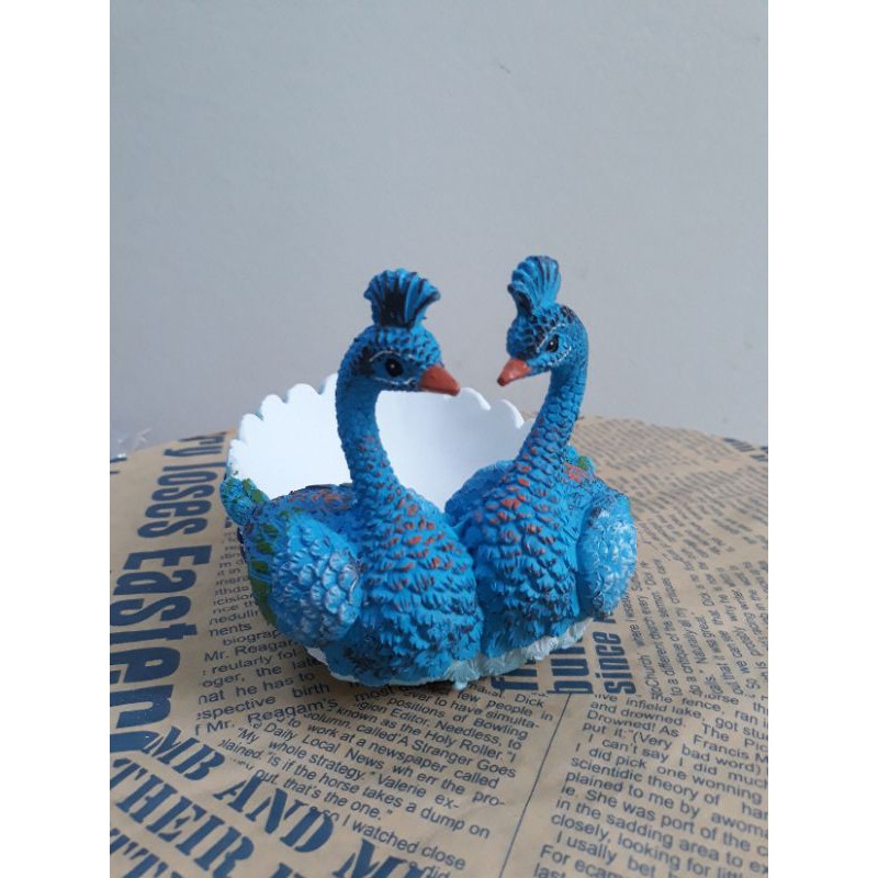 Chậu trồng cây mini hình chim công