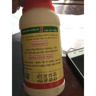 Chất bám dính sinh học