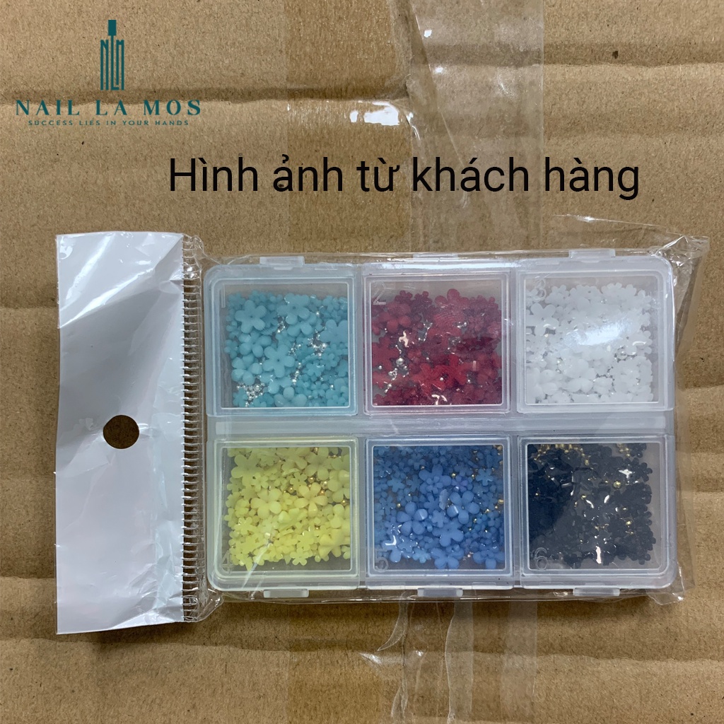 Khay phụ kiện hoa nhí nail mix 6 màu rất xinh – hoa sứ nhí nail mix bi trang trí móng phong cách Hàn Nhật
