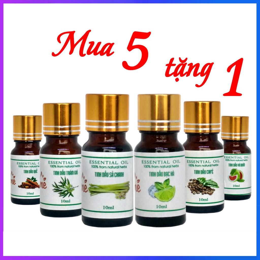 COMBO 6 LỌ 10ML - Tinh Dầu Thiên Nhiên VIDAME