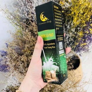 Combo ủ lúa mạch và kich trắng trà xanh