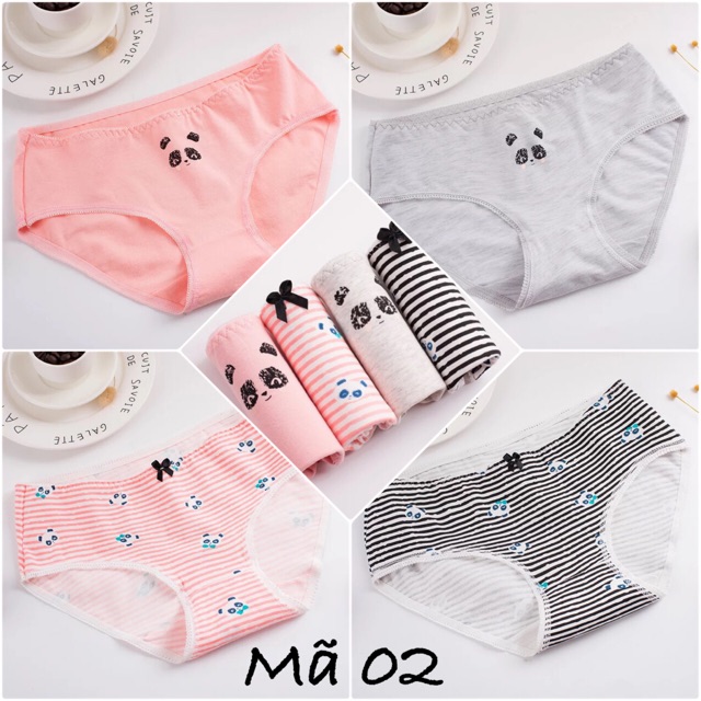 HỘP 04 QUẦN LÓT COTTON CHẤT ĐẸP (QL0024) | BigBuy360 - bigbuy360.vn