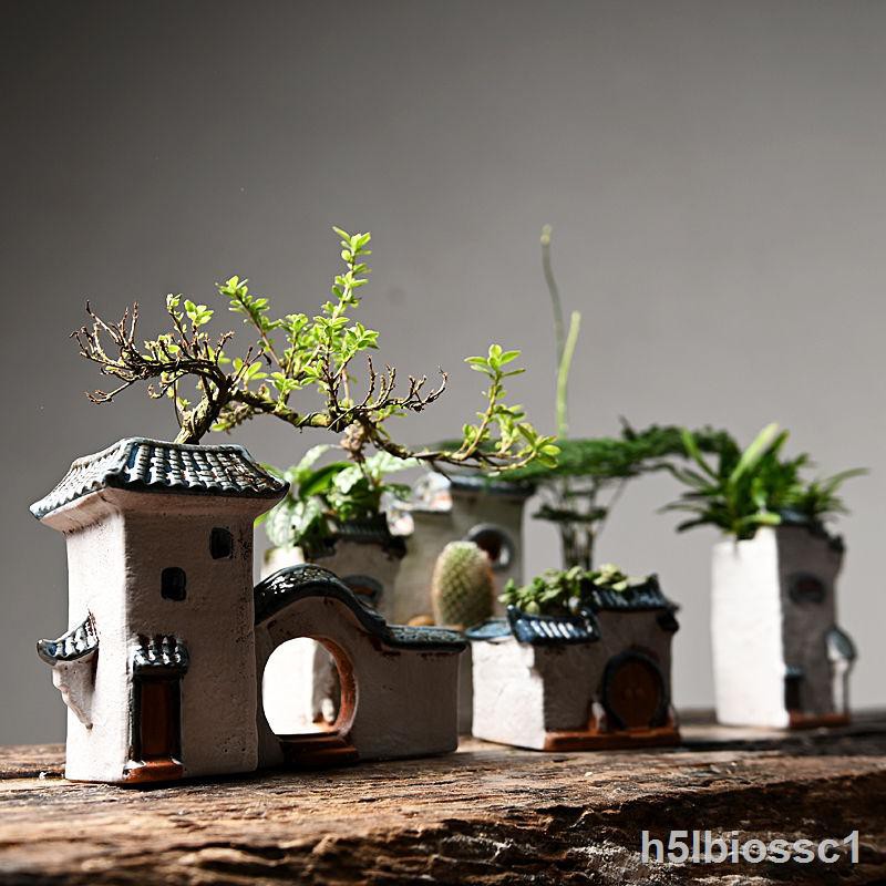 ☃●Măng tây lọ hoa mọng nước gốm sứ Zen trang trí nhà phòng khách sáng tạo tiểu cảnh cây trồng trong chậu
