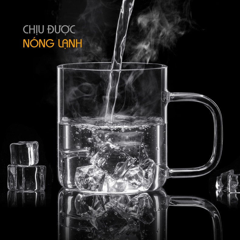 Ly Lọc trà thủy tinh lõi Inox S'049A 350ml