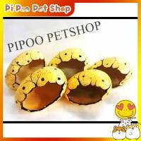 Nhà sứ cho Hamster
