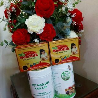 Combo lợi sữa