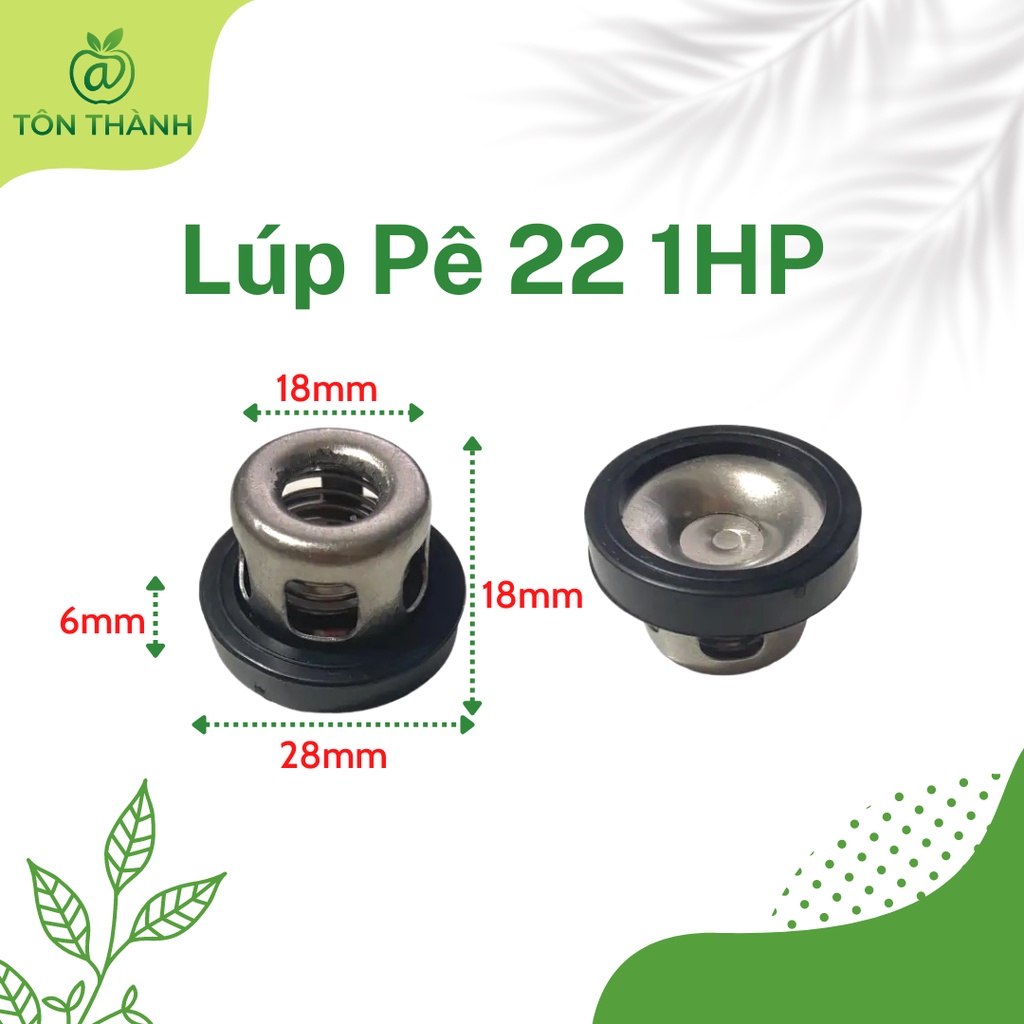 LÚP PÊ  VAN 1 CHIỀU ĐẦU XỊT RỬA XE 0.5HP 1HP 2HP