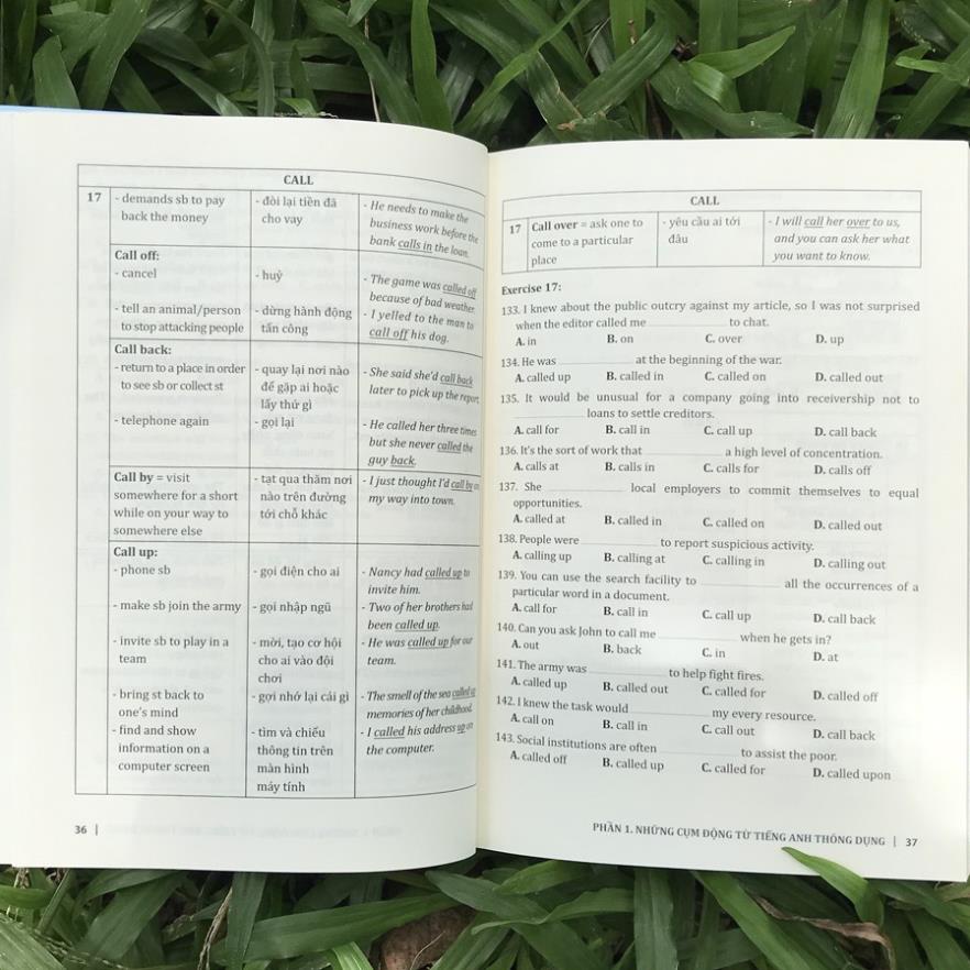 Sách - Chinh Phục Cụm Động Từ Tiếng Anh (Tác giả Trang Anh) - Huy Hoàng