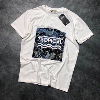 Áo pull&bear