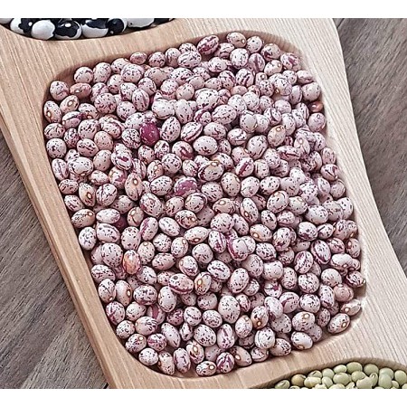 1KG ĐẬU CÚC (PINTO) DALAT