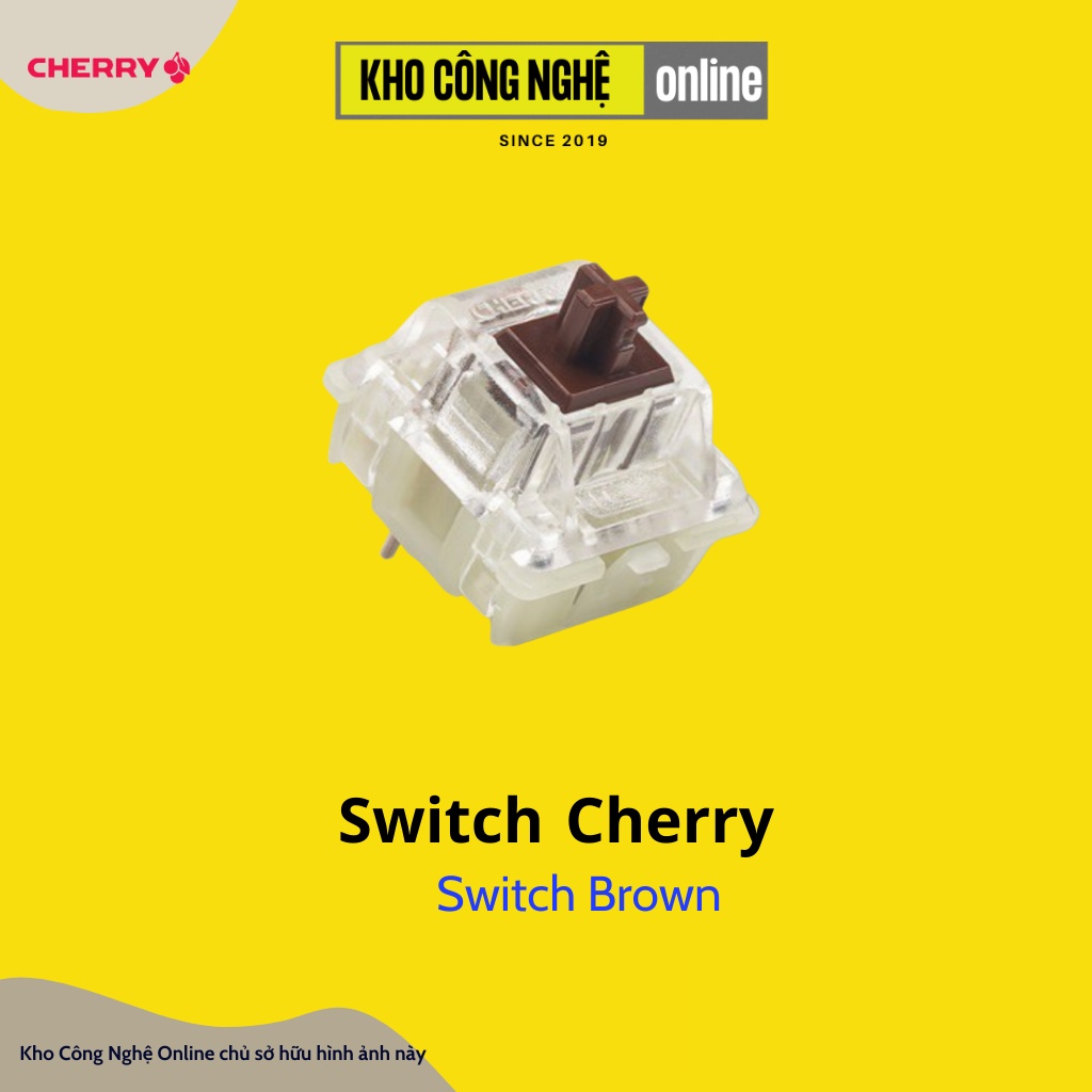 Cherry Switch - Cherry Switch RGB cho bàn phím cơ