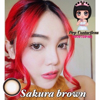 Lens vassen Sakura brown lạ