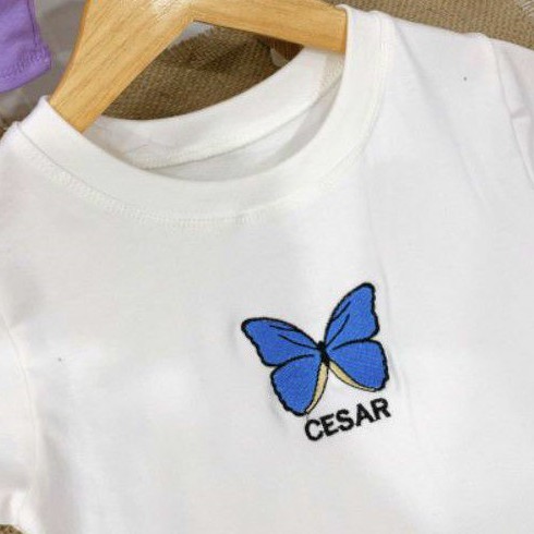 Áo thun croptop quyến rũ