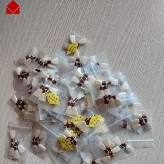 MUA DĂM SẬY KÈN SONA (KÈN BẦU , KÈM CHẦU VĂN)