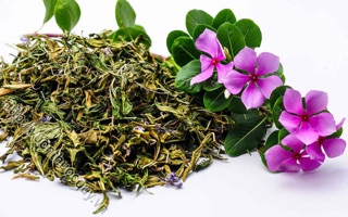 300g Dừa cạn phơi khô