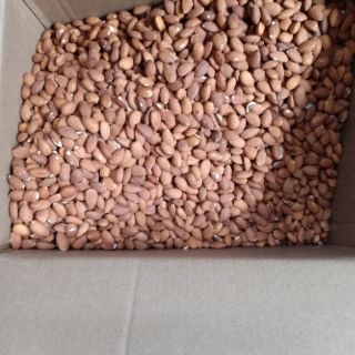 Hạt Hạnh Nhân Mỹ  500g ( Sấy Chín )