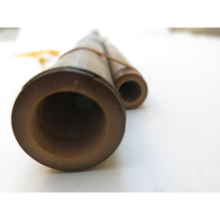 Sáo Mèo Kép Việt