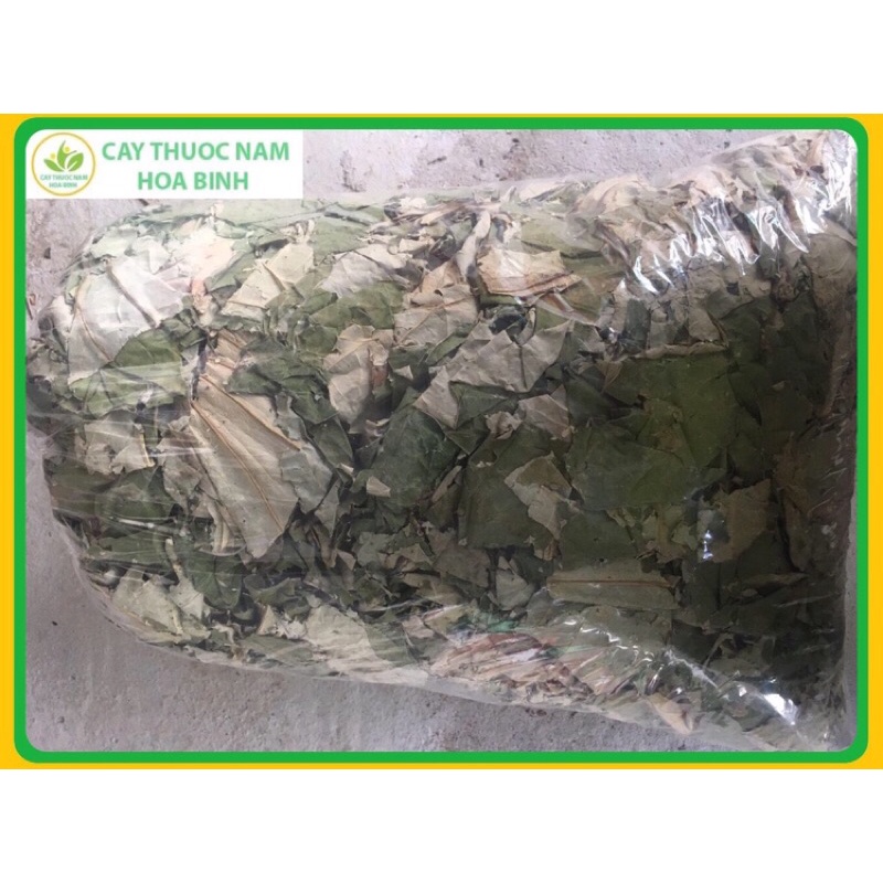 1Kg LÁ SEN TIÊU MỠ GIẢM CÂN