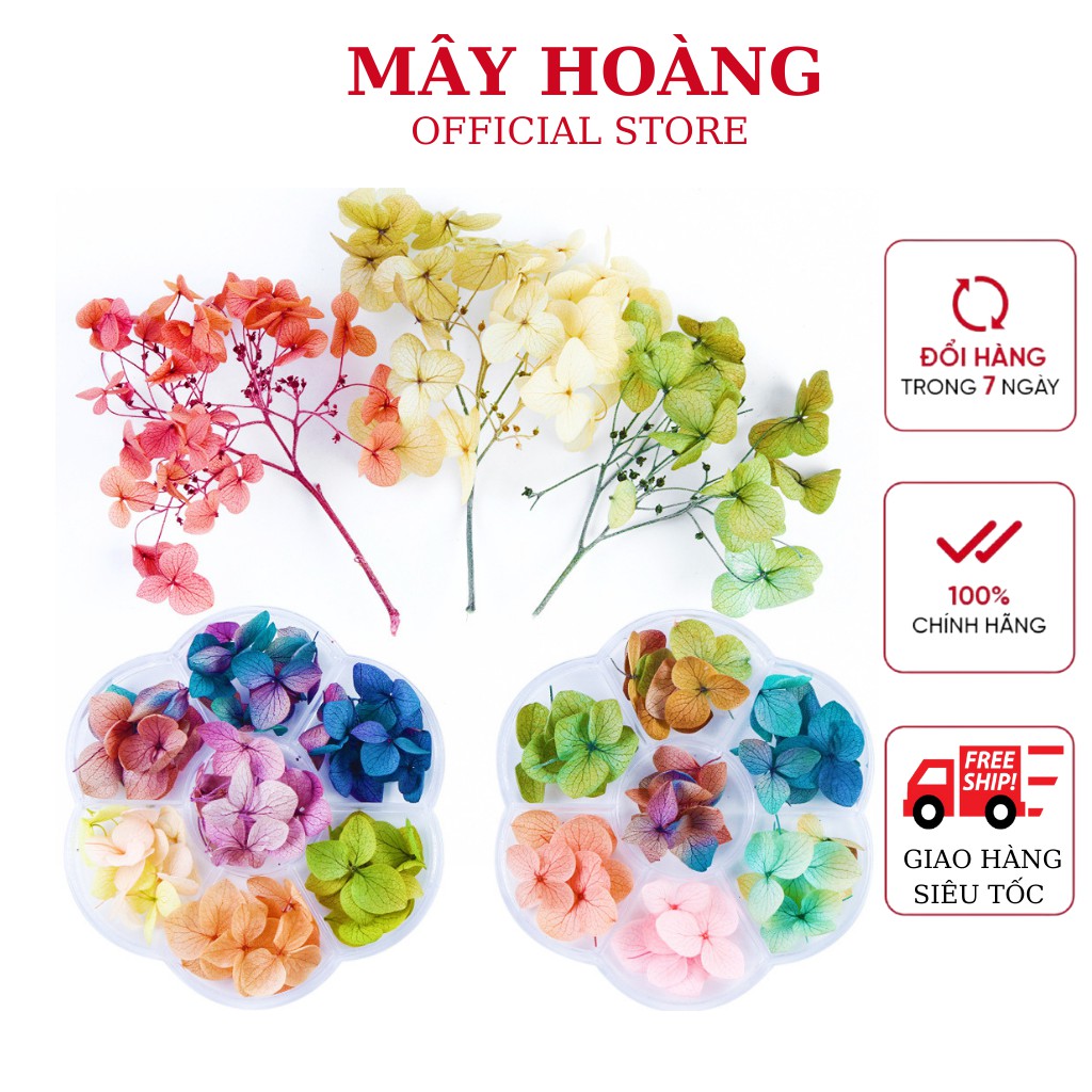 Hoa khô lụa trang trí móng cánh to