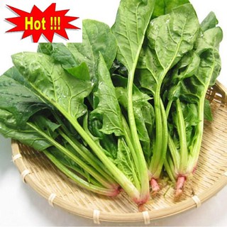 Hạt giống Cải Bó xôi 10g (rau chân vịt)
