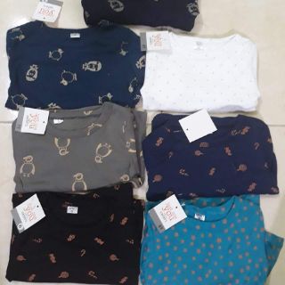 Combo 3 bộ bozip size nhỡ
