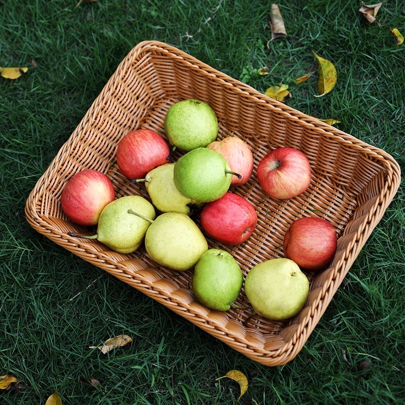 Giỏ đựng đô - giỏ nhựa giả mây cói vintage picnic - khay đựng hoa quả dã ngoại