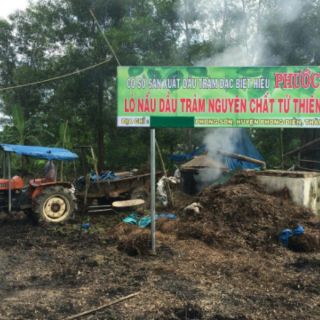 Tinh dầu massage Phước Quy Huế