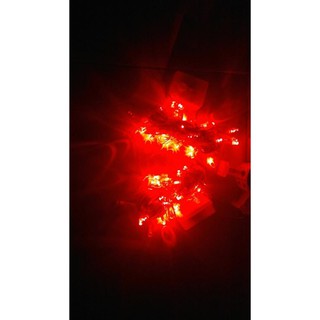 Đèn Dây Led Không Nháy 7.5m Được Chọn Màu