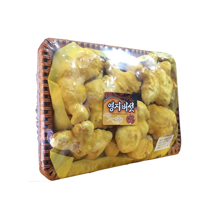 Nấm Thượng Hoàng Hàn Quốc Khay 500g