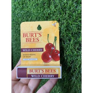 ... Son dưỡng môi burt's bees _buixuan