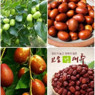 Táo đỏ Seoul Hàn Quốc