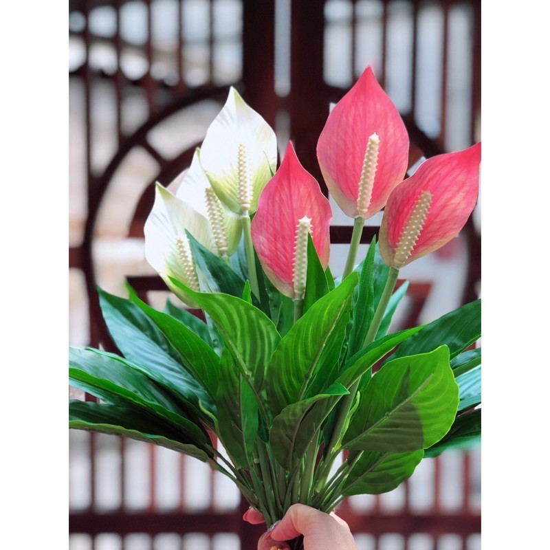 Cây Lan Ý giả 50cm loại 3 bông giống thật 99%