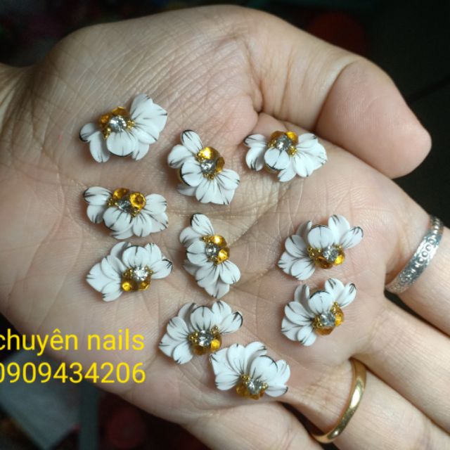 Hoa nail cúc