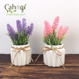 Cây giả- Chậu hoa Lavender để bàn