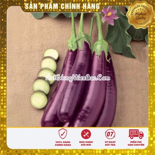 Hạt Giống Cà Tím Dài (2 gr)