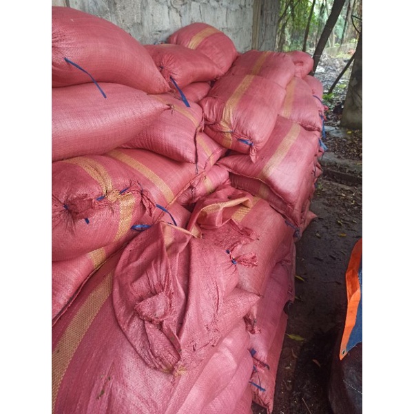 1 bao sơ dừa xay 🥥