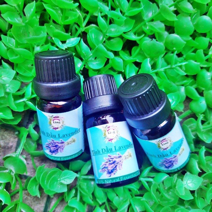 [Sỉ-Rẻ] Tinh dầu Lavender nguyên chất 100% thiên nhiên Ling có giấy VSATTP và giấy phép ĐKKD [Lẻ-Sỉ]