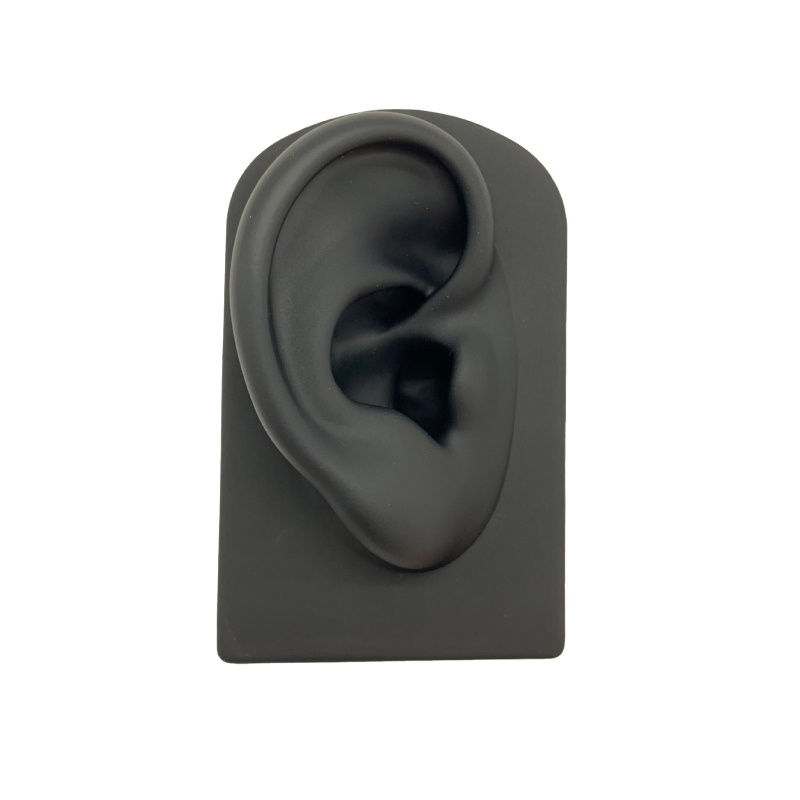 Mô Hình Tai Người Bằng Silicon Mềm Tỉ Lệ 1: 1