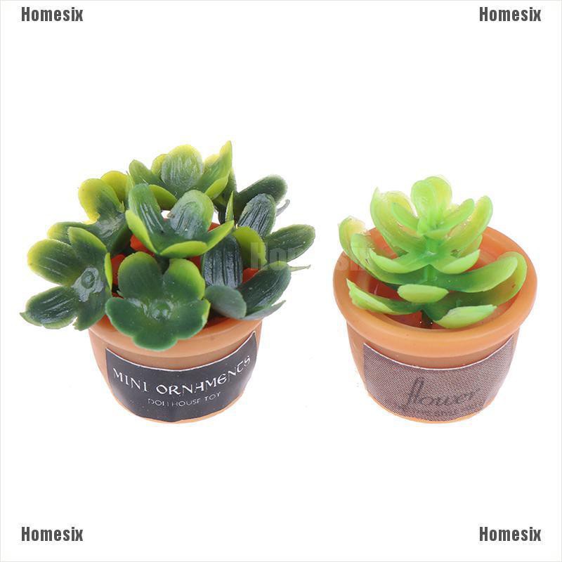 [HoMSI] 4pcs Dollhouse Miniature 1:12 Pot DIY Kitchen Decora Potted plant SUU