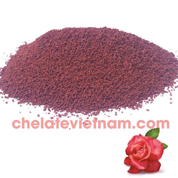 Vi lượng Sắt Chelate   tan hoàn toàn trong nước