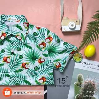 [Yeah1Shop]- Áo sơ mi trái cây dừa/ cây dừa (M, L, XL) (SMHH)